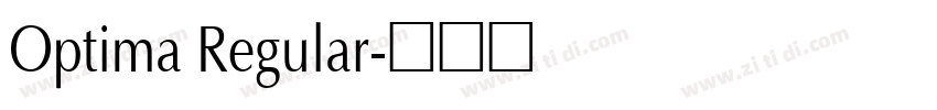 Optima Regular字体转换
